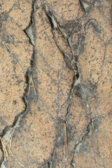 Natural rock or Stone surface as background texture