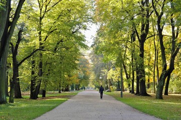 Avenue of chestnuts trees at Warsaw's Royal Baths Park (or Lazienki Park) in the spring. Warsaw, Poland, Europe