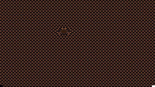 Hexagon Grid Mesh Netting With Moving Warp Hole