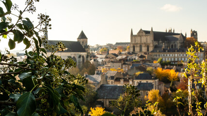 View on the city of Poitiers, in France. Photographed during autumn. View on the roof. There are church and cathedral. Sunny day. Trees in the foreground.