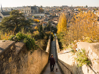 View on the city of Poitiers in France. There is a staircase. Someone goes down and walks his dog. Photographed in autumn.