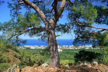 Fototapeta na wymiar Aerial view of the town of Kemer and Mediterranean sea. Antalya province, Turkey.