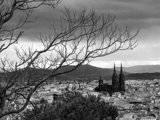 Black and white. View on the roofs of Clermont-Ferrand, in Auvergne region, France. We can see the cathedral of the city with black stones. Mountains in the background. Tree in the foreground.