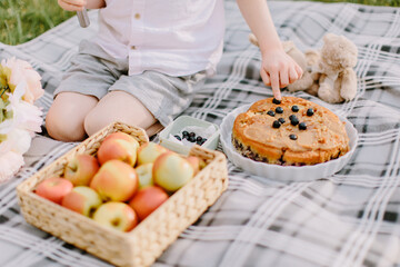 cozy family picnic with pie