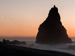 Fototapeta na wymiar The cliffs by Vík, Iceland. The birds go from the left to the rock. Photographed at sunrise. 