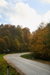 Asphalt road in the autumn forest in the afternoon