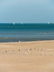 View on the beach of Malo-les-bains in Dunkirk in the north of France. Sailboats are in the water in the background. Nobody on the sand.