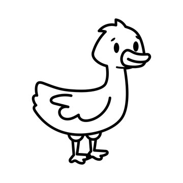 Isolated cartoon of a duck - Vector illustration