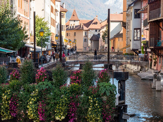 View on the canal in the city of Annecy, Haute-savoie, France. Flowers in the foreground. Old town.