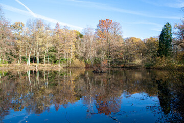 Spiegelung im Herbst