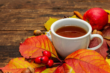 Hot tea with colorful autumn leaves, acorns, cinnamon and rosehip berries