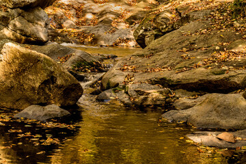 Mountain stream flowing over large stones on autumn day.