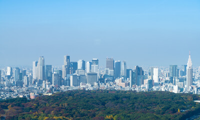 Fototapeta premium 東京風景