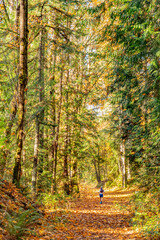 Man running in forest during autumn