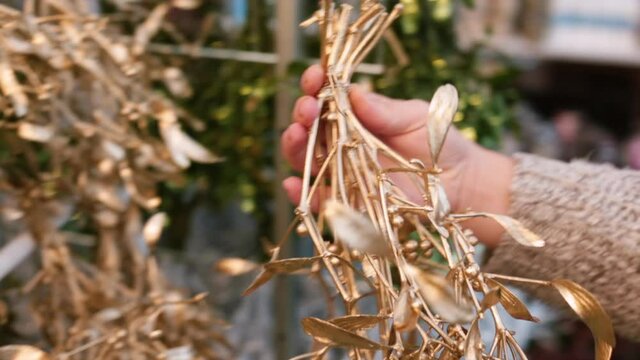 During planning a winter wedding or just decorating for the upcoming holidays, this mistletoe could definitely come in handy. Mistletoe is the common name for obligate hemiparasitic plants. 