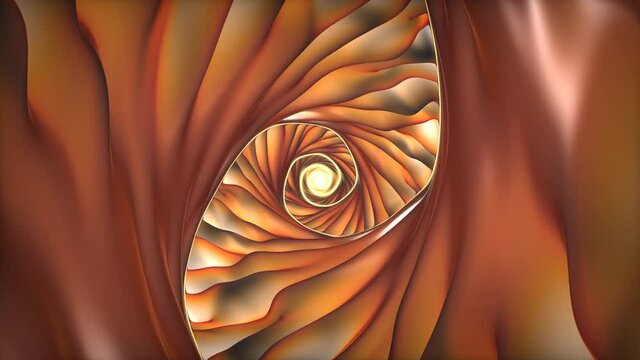 Weird Organic Conche Conch Shell Interior Folds