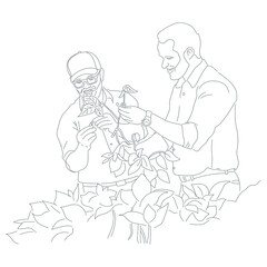 Fototapeta na wymiar Farmers on soybean field line art illustration. Hand drawn