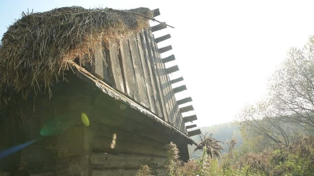 Old fashioned vintage wooden retro abandoned village countryside dacha house straw roof world war two World War II former USSR CIS Belarus partisan guerilla fight battle for freedom history historic
