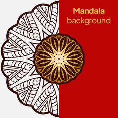 Fototapeta premium Round pattern, vector ornament Outline flower mandala. decorative ornament. floral design element.