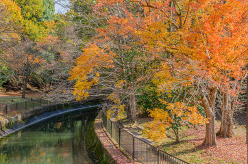 京都の山科疏水