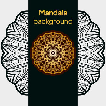 Outline flower mandala. decorative ornament. floral design element. vector illustration