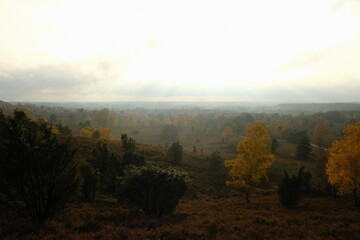 Sunlight passes through open Heath Valley