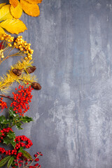 Thanksgiving Christmas autumn winter background. Flat lay, layout, room for text