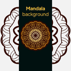 Mandala design.background for meditation poster. Unusual flower shape. vector.
