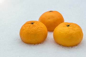 Three ripe tangerines in the fresh snow.