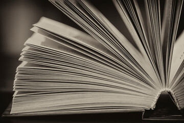 Close-up front of an open book in the style of an old photo.