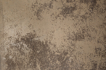 grunge concrete texture in rust color