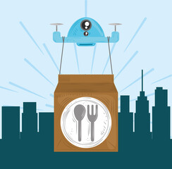 fast delivery service drone with the food package