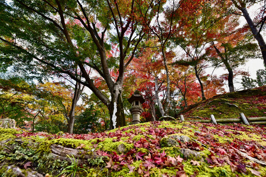 日本の大阪の寺と紅葉と地蔵