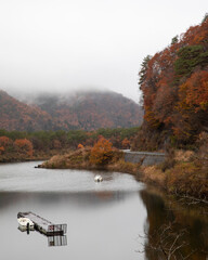 Fototapeta na wymiar autumn landscape with a river