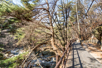 Fototapeta premium Valley, footpath and trees of Bukhansan mountains in Seoul, South Korea, national park of Bukhansan.