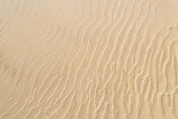 Fototapeta na wymiar Sand texture on a sea shore. Wavy sand background close-up.