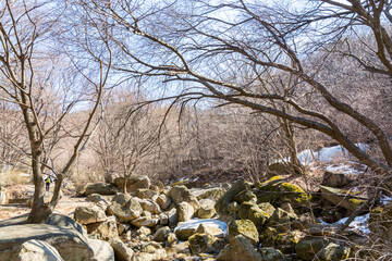 Valley with rocks, withered tree in the Bukhansan Mountain national park in the winter season in Seoul of South Korea
