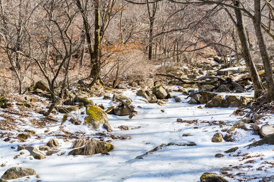 Snow and fronzen river with forest at the valley of Bukhansan Mountain national park in Seoul of South Korea.