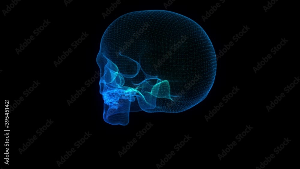 Poster skull in the form of a particles in space, consisting of points and line. connection line in network