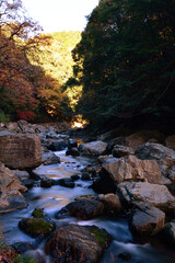 Obraz premium 秋の高槻摂津峡の紅葉