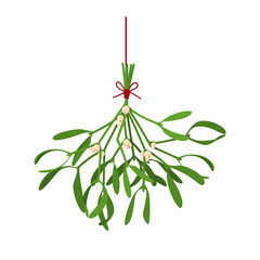 Fototapeta na wymiar Christmas flower Mistletoe. Festive illustration with hanging sprigs of mistletoe with berries tied with a red thread isolated on white. Vector illustration