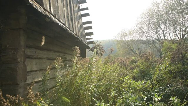 Old fashioned vintage wooden retro abandoned village countryside dacha house straw roof world war two World War II former USSR CIS Belarus partisan guerilla fight battle for freedom history historic