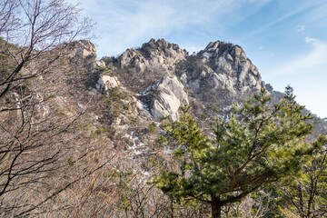 Bukhansan Mountain national park with rocks, snow, and dead trees in the spring in Seoul of South Korea.