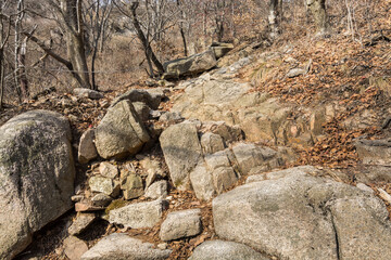 Valley with rocks, withered tree in the Bukhansan Mountain national park in the winter season in Seoul of South Korea