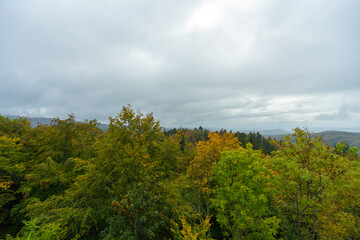 Fototapeta na wymiar Herbstliche Landschaft im Schwarzwald