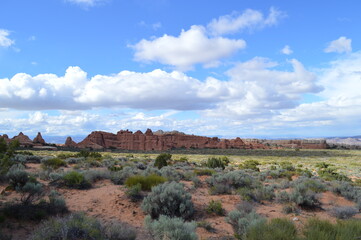 Fototapeta na wymiar Sagebrush in the desert landscape at Arches National Park, Utah