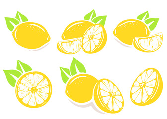 set lemons in a simple style. vector hand drawn illustration