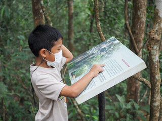A boy standing and reading a tourist attraction In the national park © Thawatchai Images