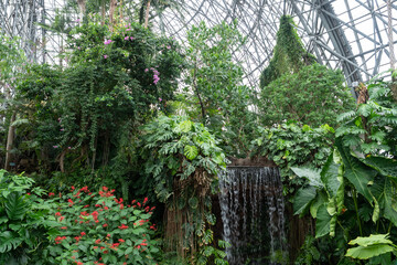 夢の島植物園の温室