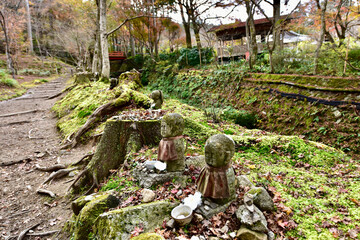 京都の大原三千院の紅葉と苔